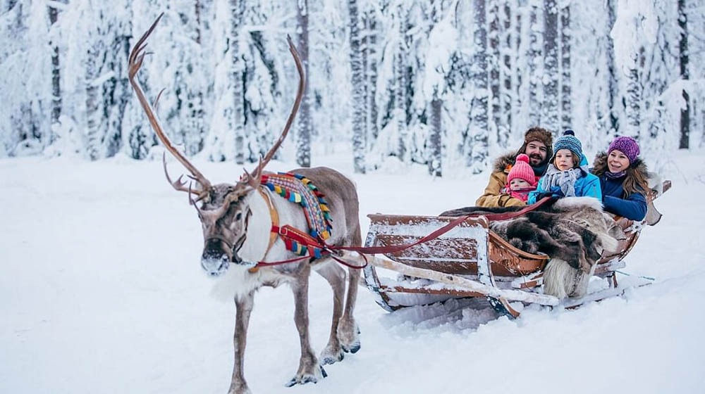 Reindeer-sleigh-ride-with-Nordic-Unique-Travels-Rovaniemi-Lapland-Finland