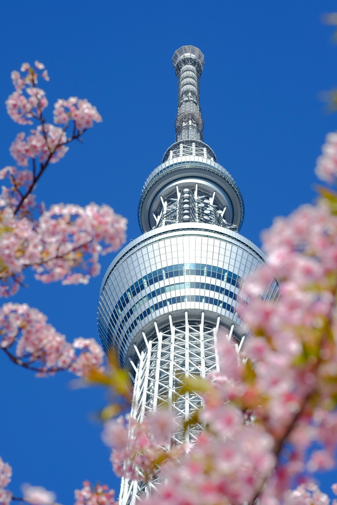 tokyo-skytree-8645455_1920
